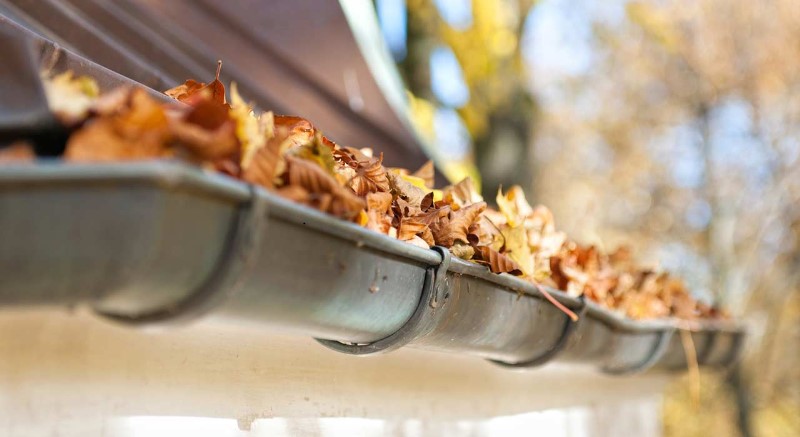 Content-Bild, Verstopfte-Regenrinne, Rohrreinigung Detmold Appel